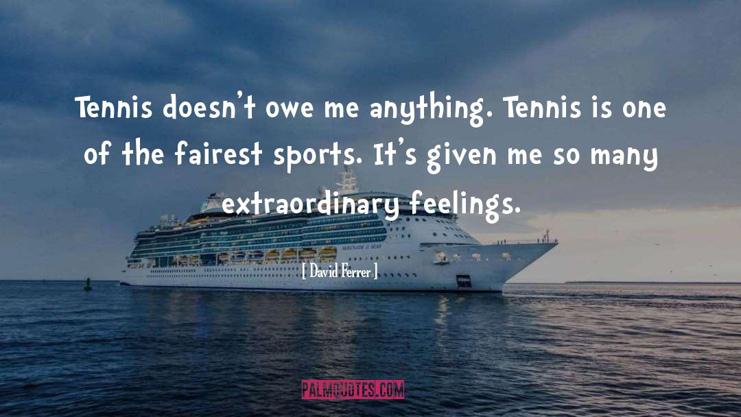 David Ferrer Quotes: Tennis doesn't owe me anything.