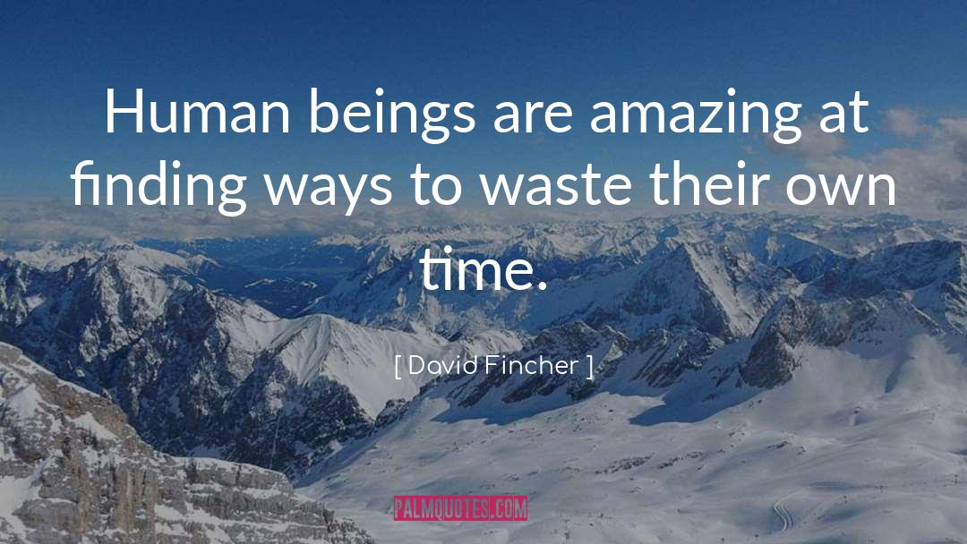 David Fincher Quotes: Human beings are amazing at