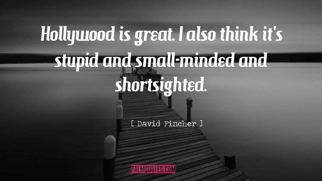 David Fincher Quotes: Hollywood is great. I also