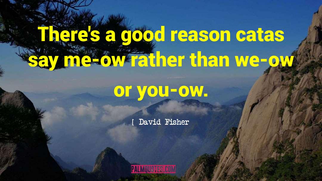 David Fisher Quotes: There's a good reason catas