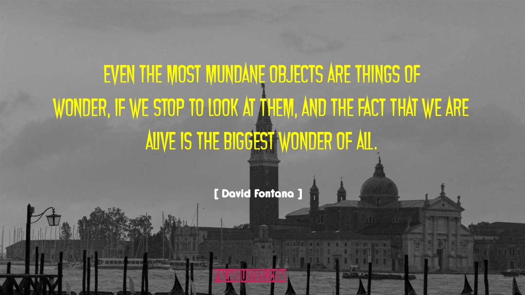 David Fontana Quotes: Even the most mundane objects