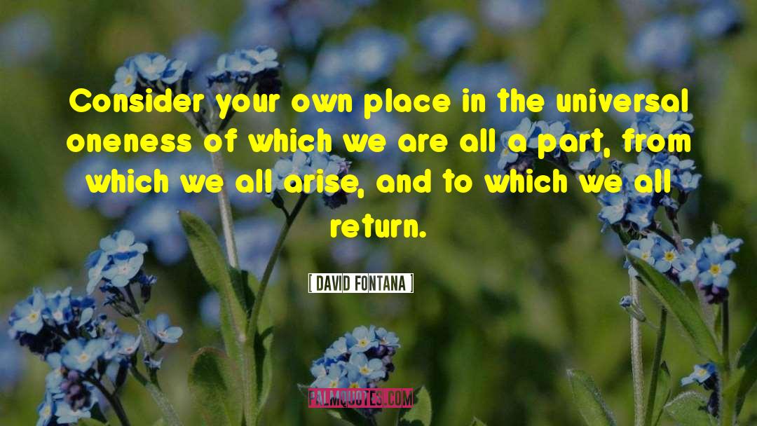 David Fontana Quotes: Consider your own place in