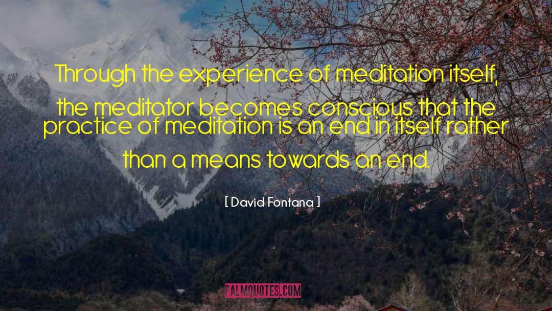 David Fontana Quotes: Through the experience of meditation