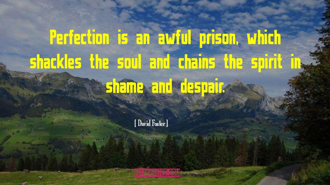 David Foster Quotes: Perfection is an awful prison,