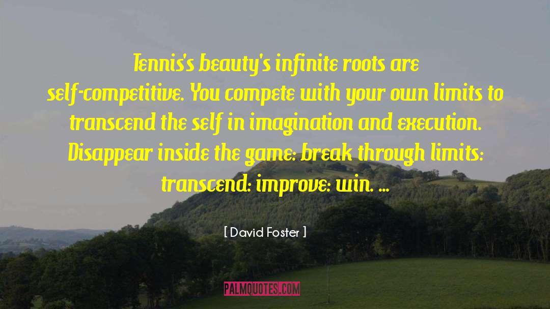 David Foster Quotes: Tennis's beauty's infinite roots are