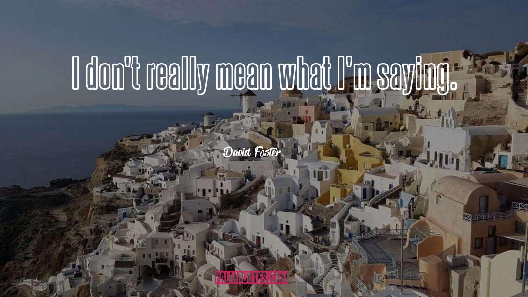 David Foster Quotes: I don't really mean what