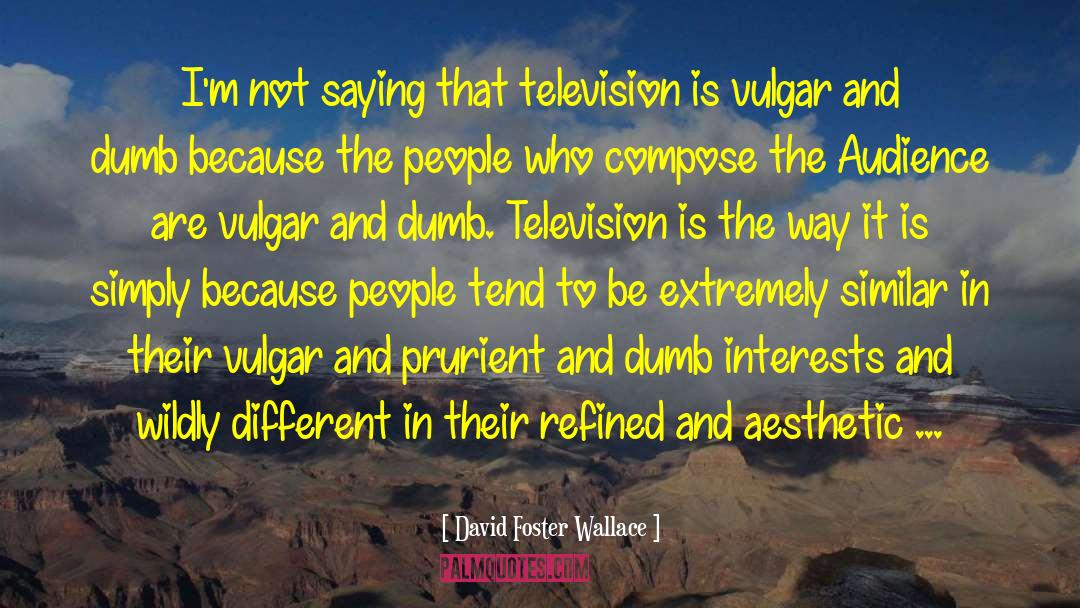 David Foster Wallace Quotes: I'm not saying that television