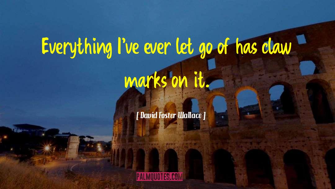 David Foster Wallace Quotes: Everything I've ever let go