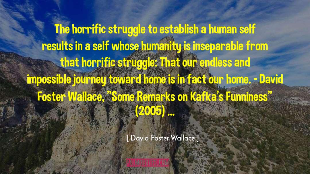 David Foster Wallace Quotes: The horrific struggle to establish