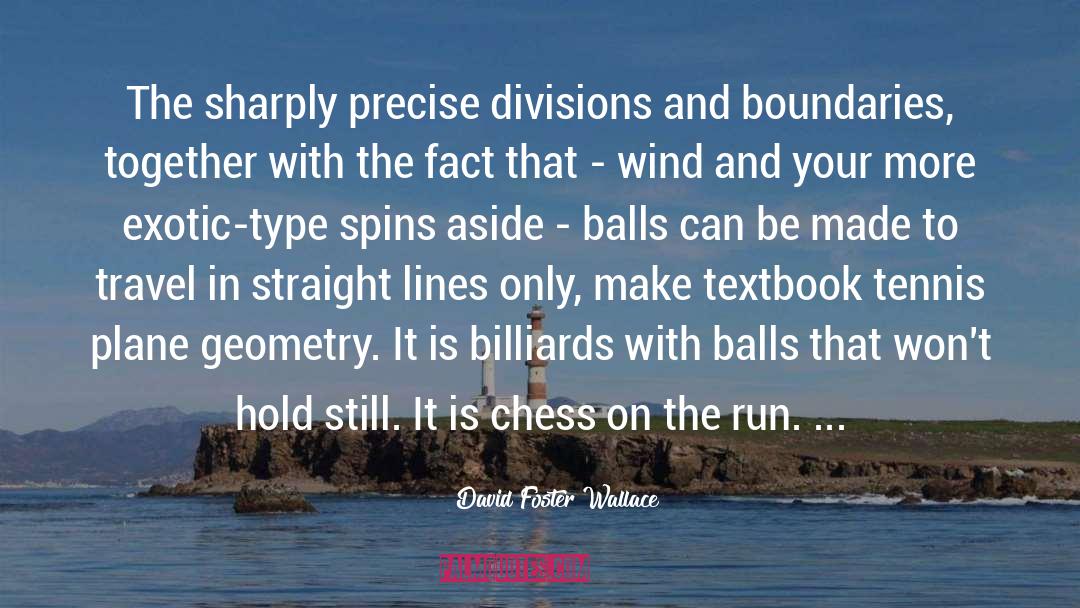 David Foster Wallace Quotes: The sharply precise divisions and