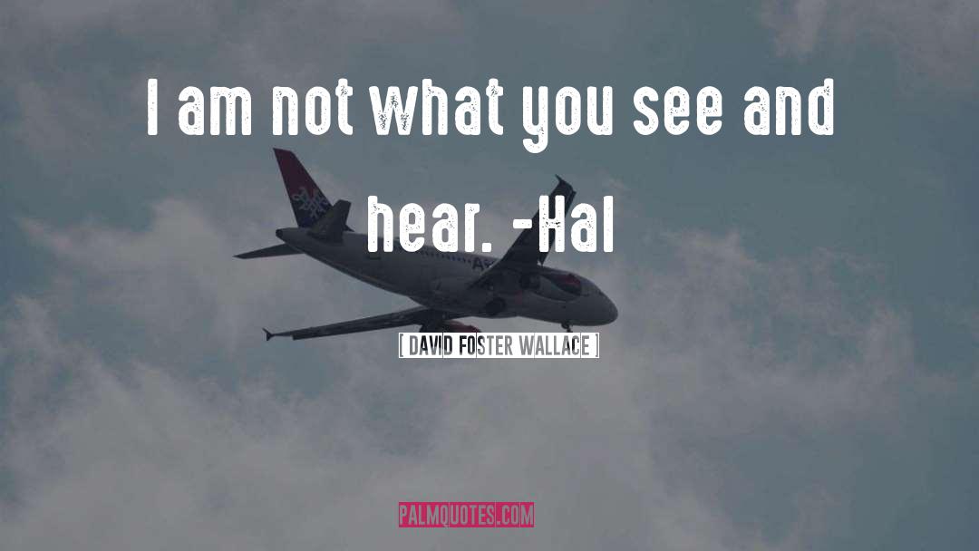 David Foster Wallace Quotes: I am not what you