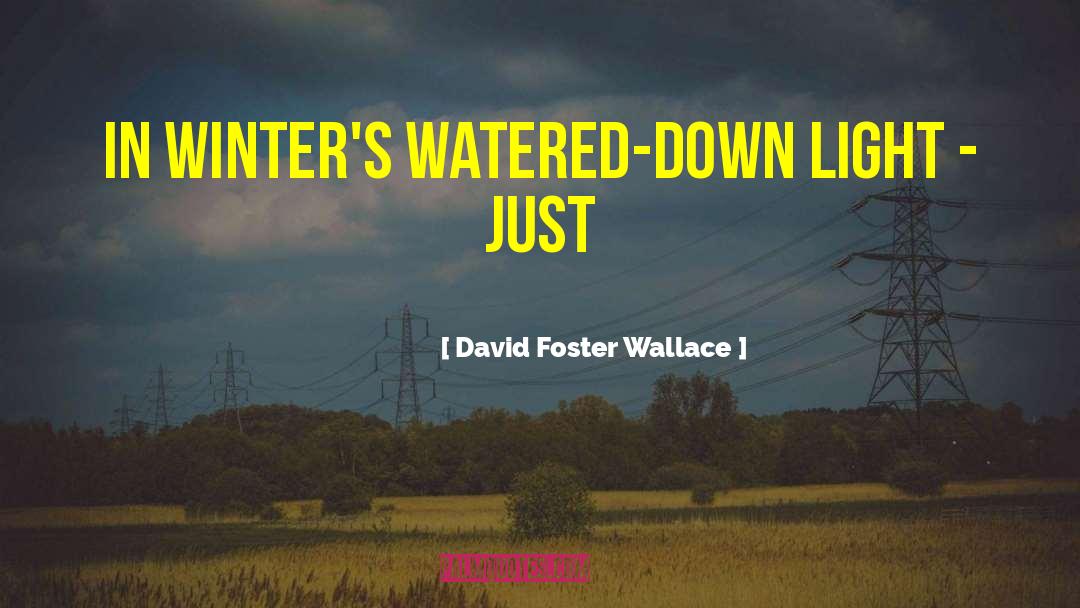 David Foster Wallace Quotes: in winter's watered-down light -