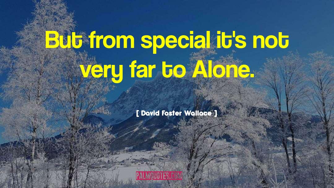 David Foster Wallace Quotes: But from special it's not