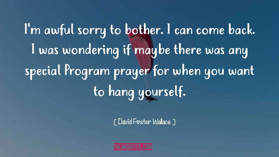 David Foster Wallace Quotes: I'm awful sorry to bother.