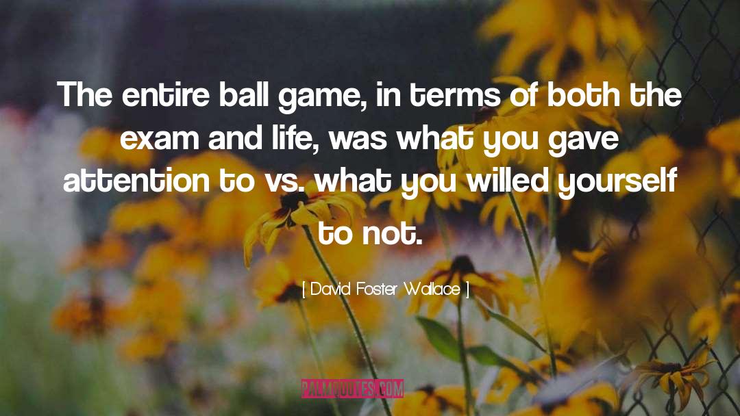 David Foster Wallace Quotes: The entire ball game, in