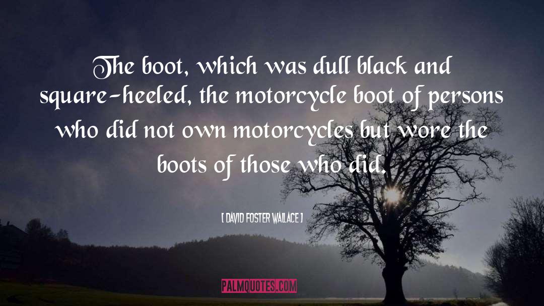 David Foster Wallace Quotes: The boot, which was dull
