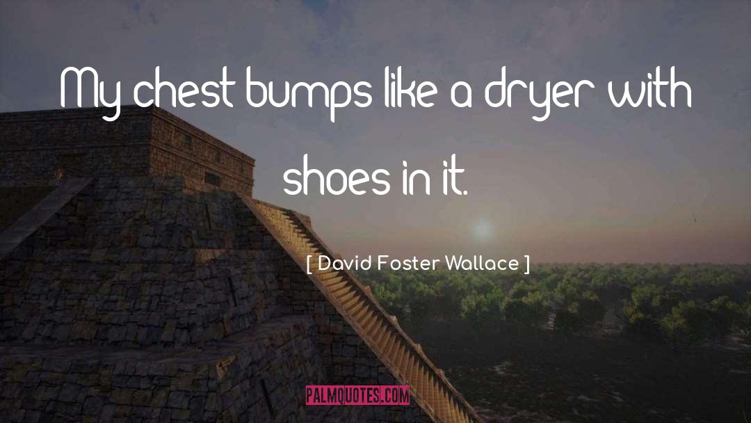 David Foster Wallace Quotes: My chest bumps like a