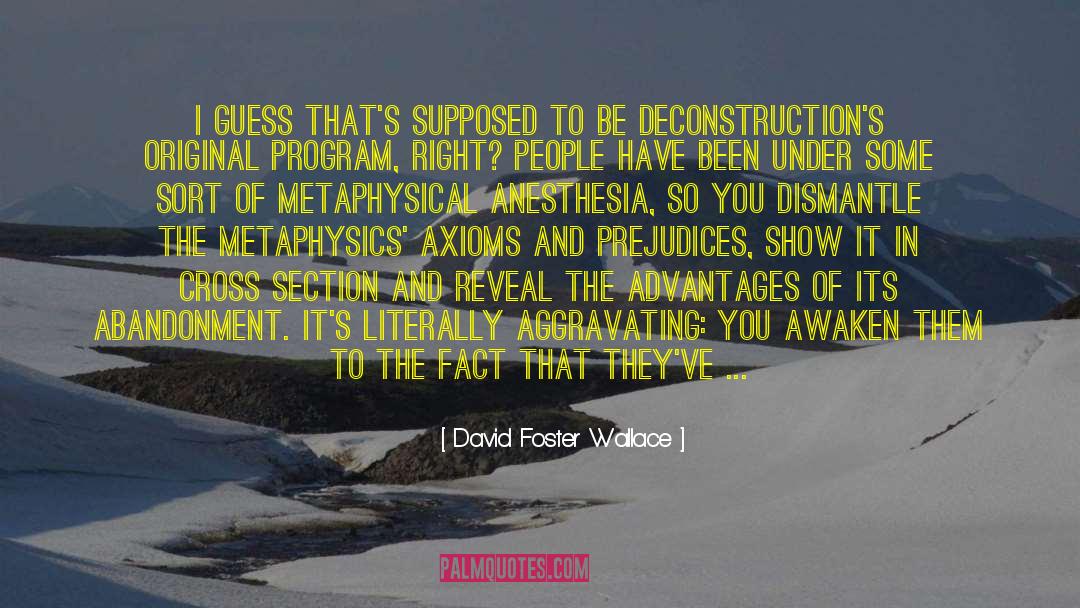 David Foster Wallace Quotes: I guess that's supposed to