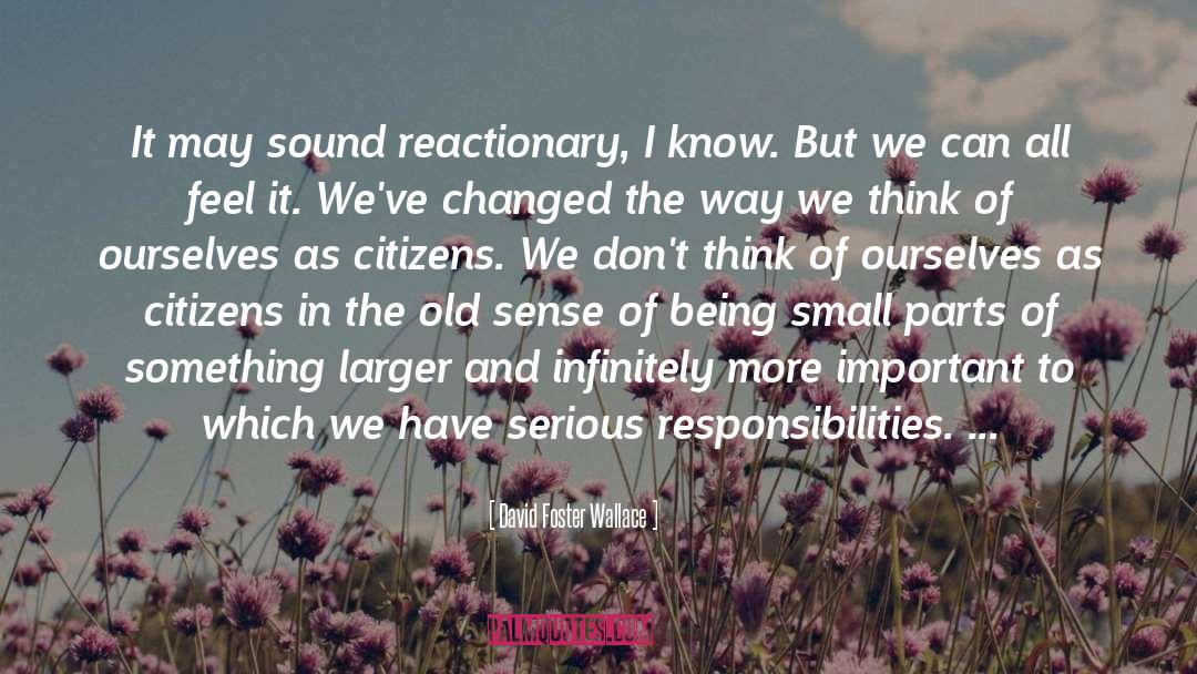 David Foster Wallace Quotes: It may sound reactionary, I