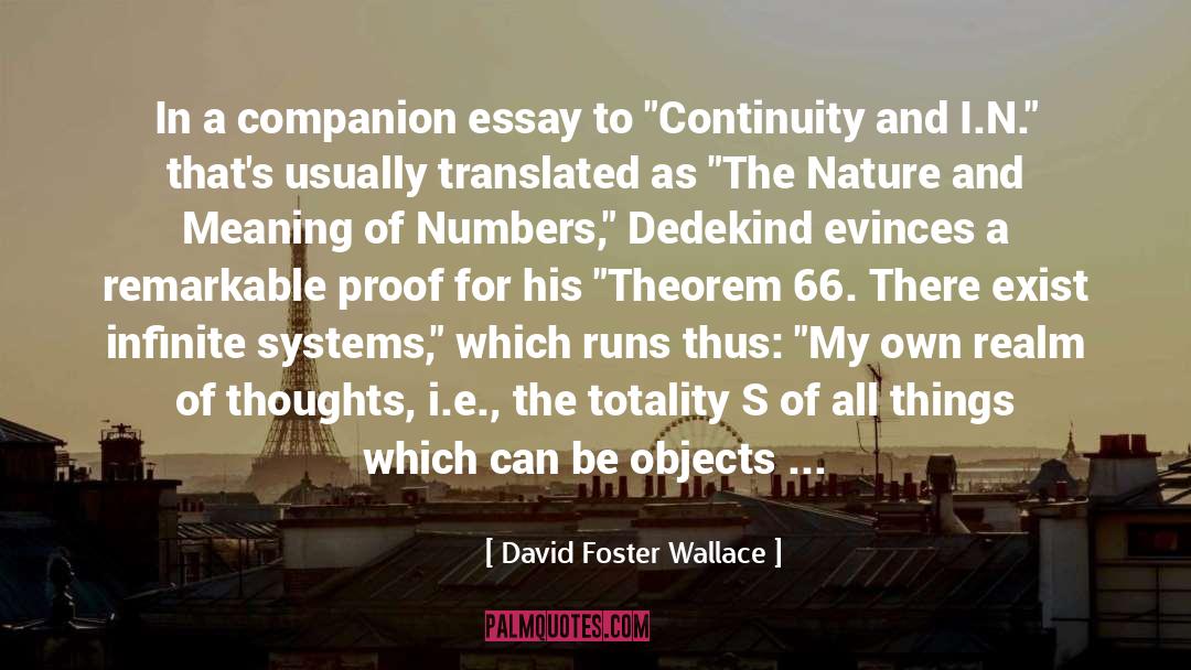 David Foster Wallace Quotes: In a companion essay to