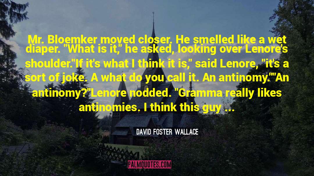 David Foster Wallace Quotes: Mr. Bloemker moved closer. He