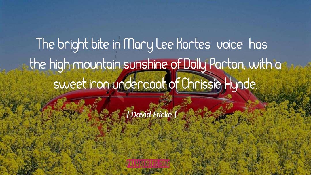 David Fricke Quotes: The bright bite in Mary