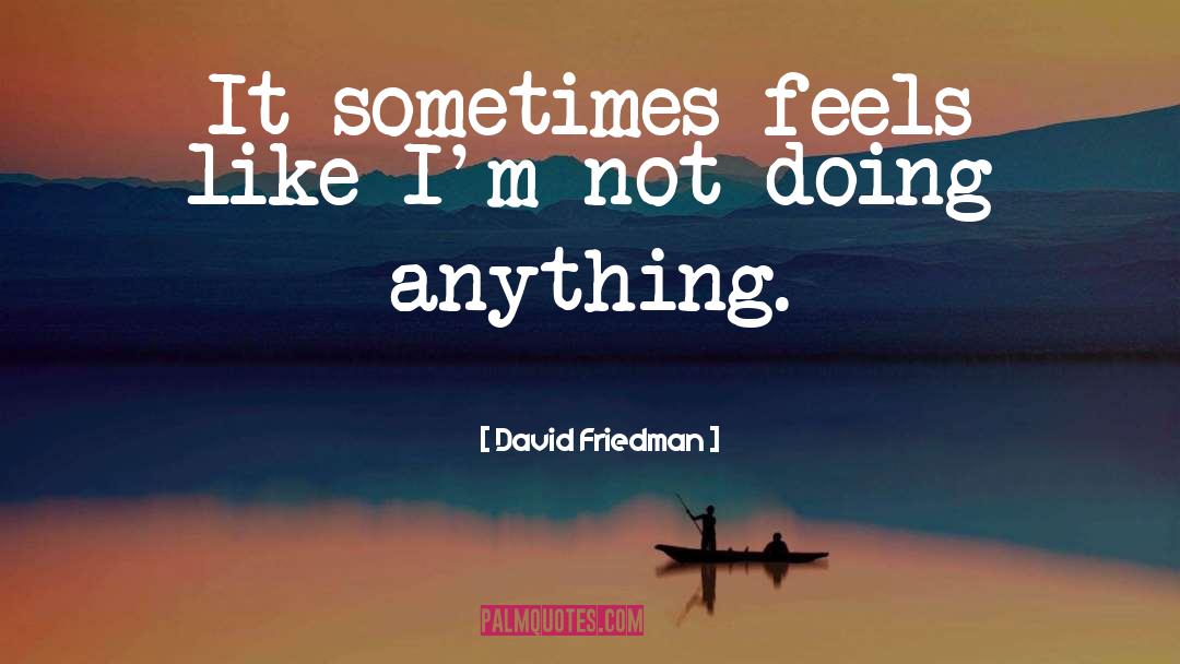 David Friedman Quotes: It sometimes feels like I'm