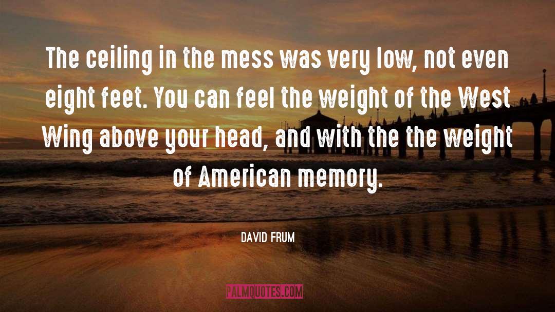 David Frum Quotes: The ceiling in the mess