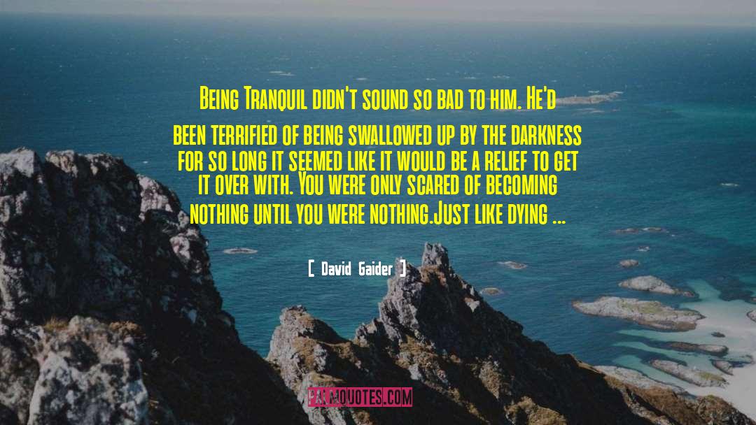 David Gaider Quotes: Being Tranquil didn't sound so