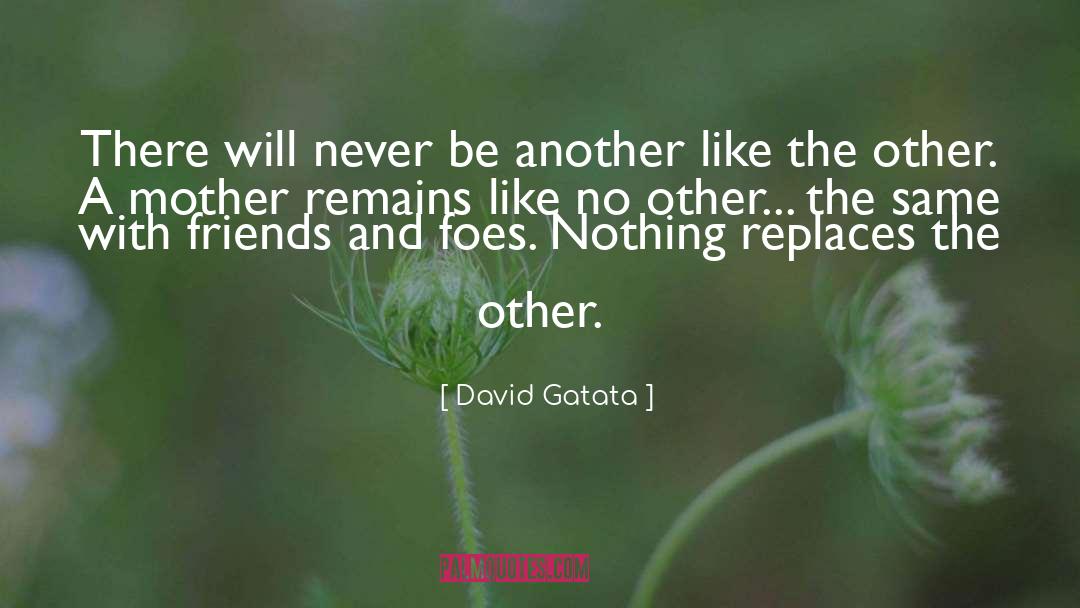 David Gatata Quotes: There will never be another