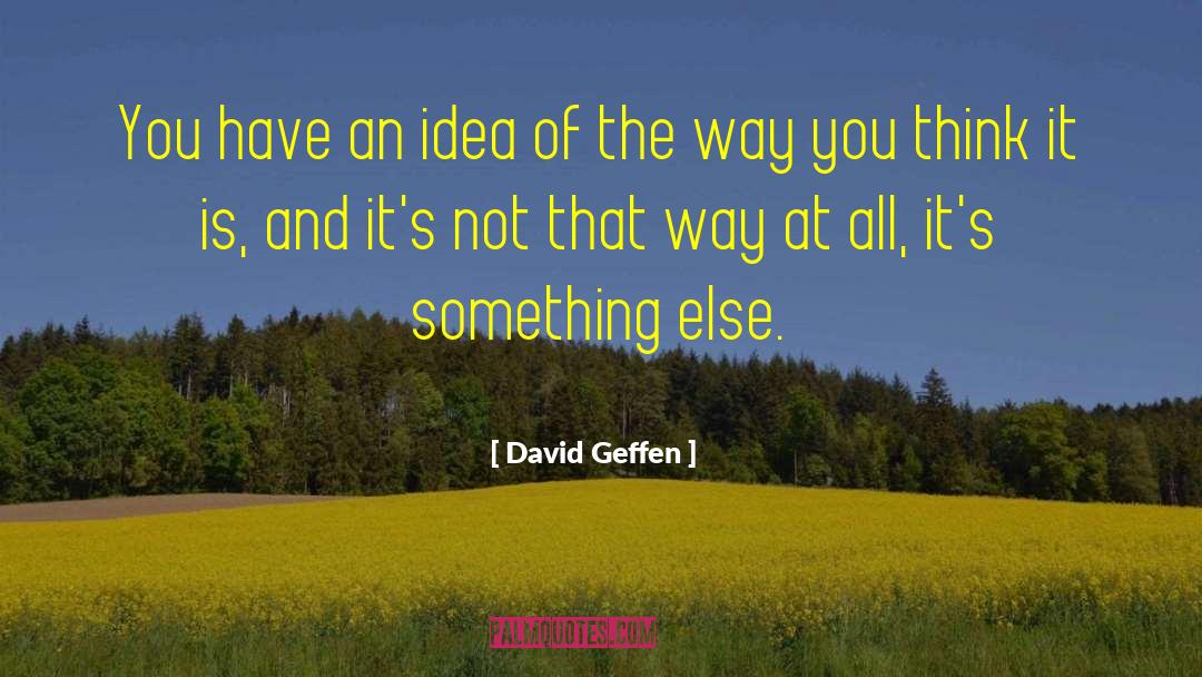 David Geffen Quotes: You have an idea of