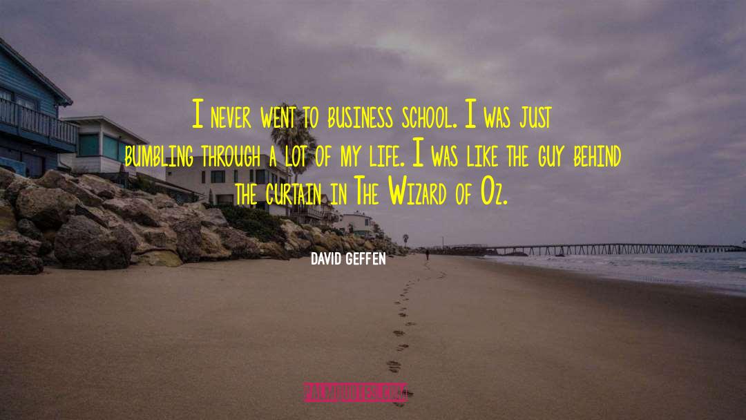 David Geffen Quotes: I never went to business