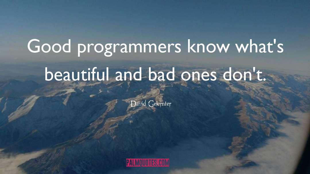 David Gelernter Quotes: Good programmers know what's beautiful