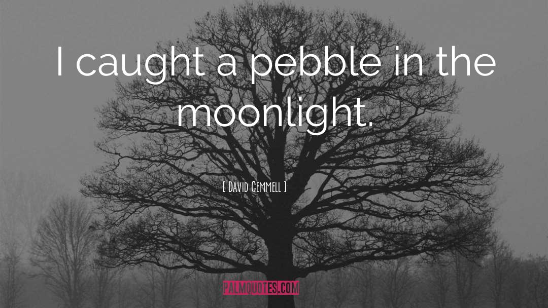 David Gemmell Quotes: I caught a pebble in