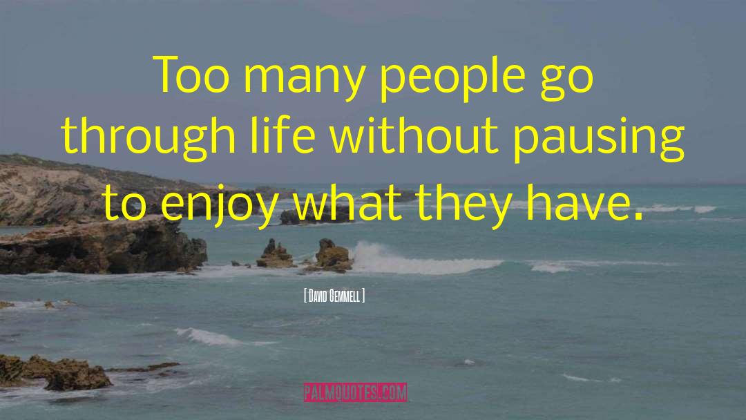 David Gemmell Quotes: Too many people go through