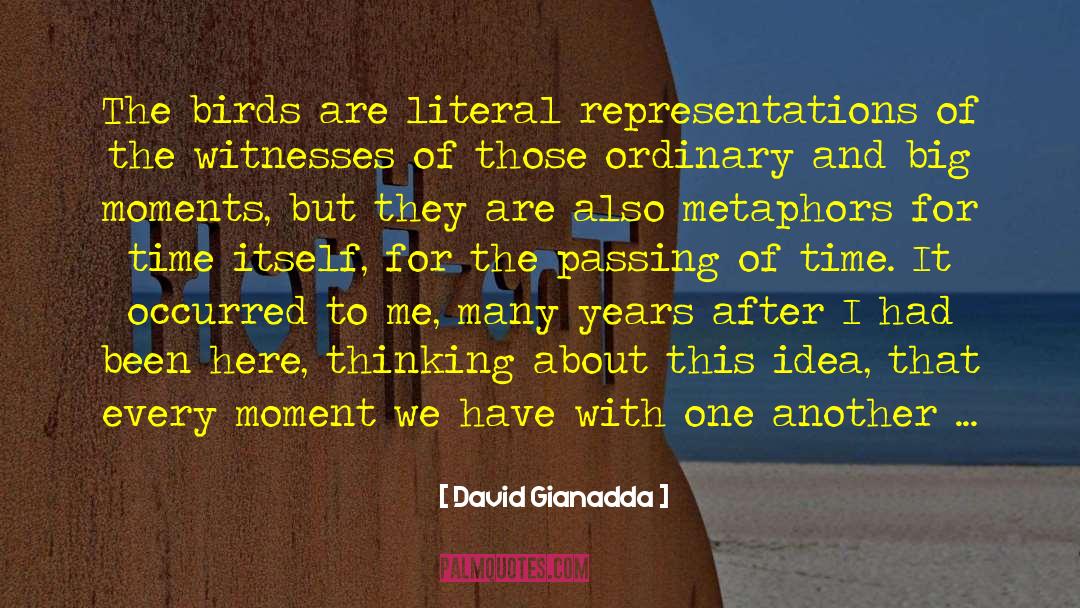 David Gianadda Quotes: The birds are literal representations