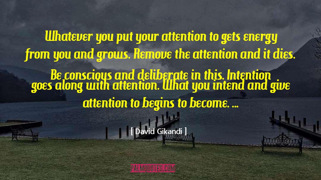 David Gikandi Quotes: Whatever you put your attention