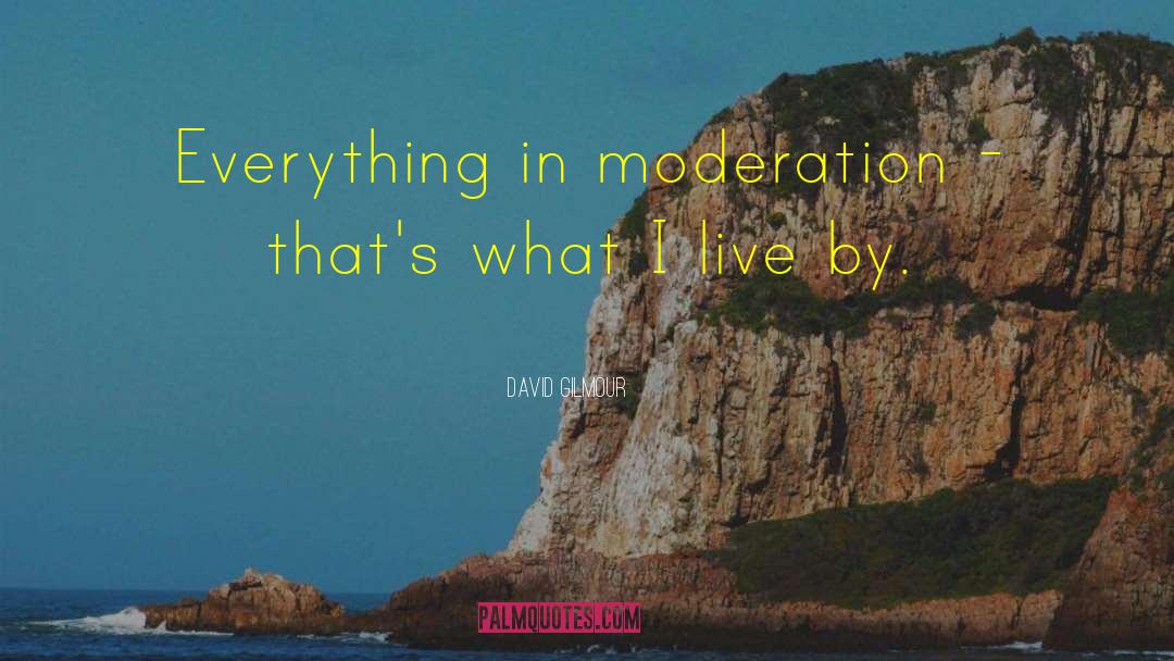 David Gilmour Quotes: Everything in moderation - that's