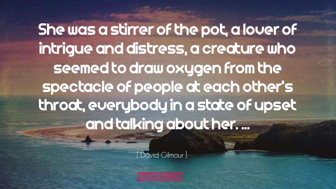 David Gilmour Quotes: She was a stirrer of
