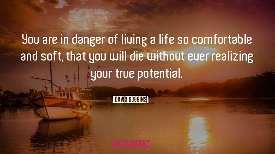 David Goggins Quotes: You are in danger of