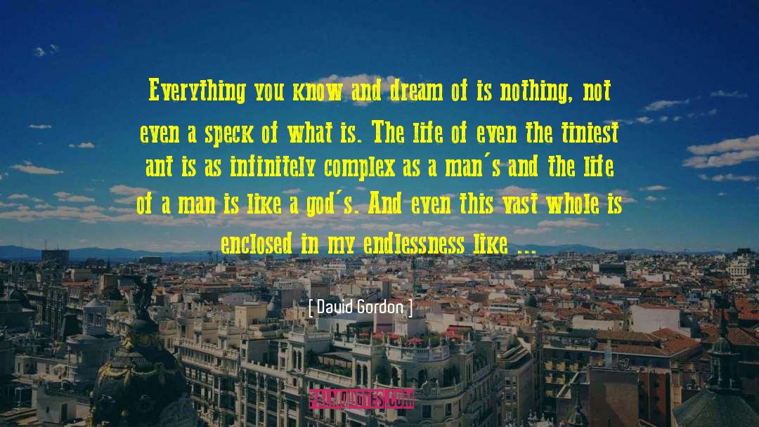 David Gordon Quotes: Everything you know and dream