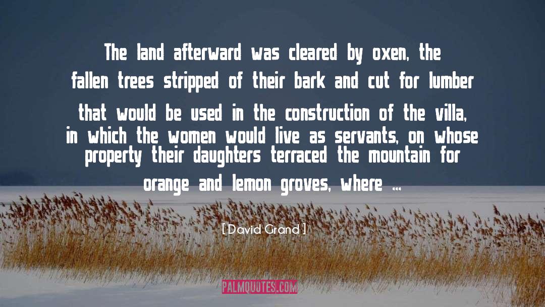 David Grand Quotes: The land afterward was cleared