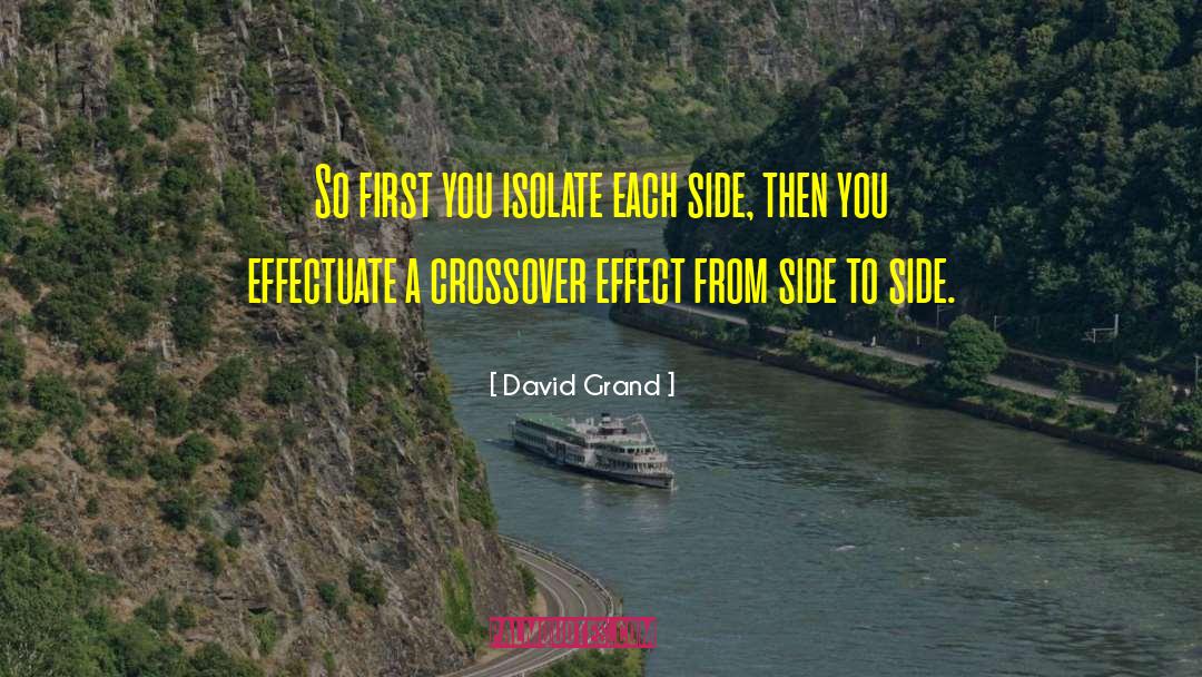 David Grand Quotes: So first you isolate each