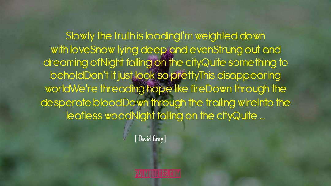 David Gray Quotes: Slowly the truth is loading<br