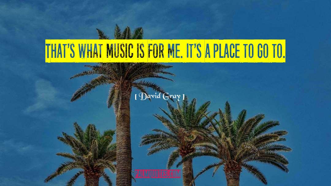 David Gray Quotes: That's what music is for