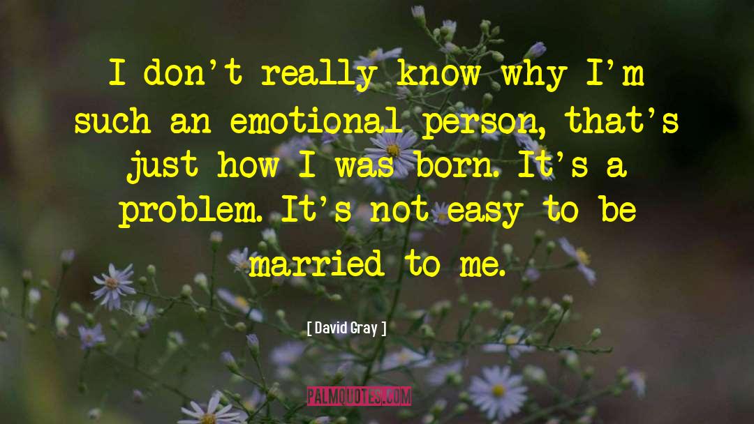 David Gray Quotes: I don't really know why