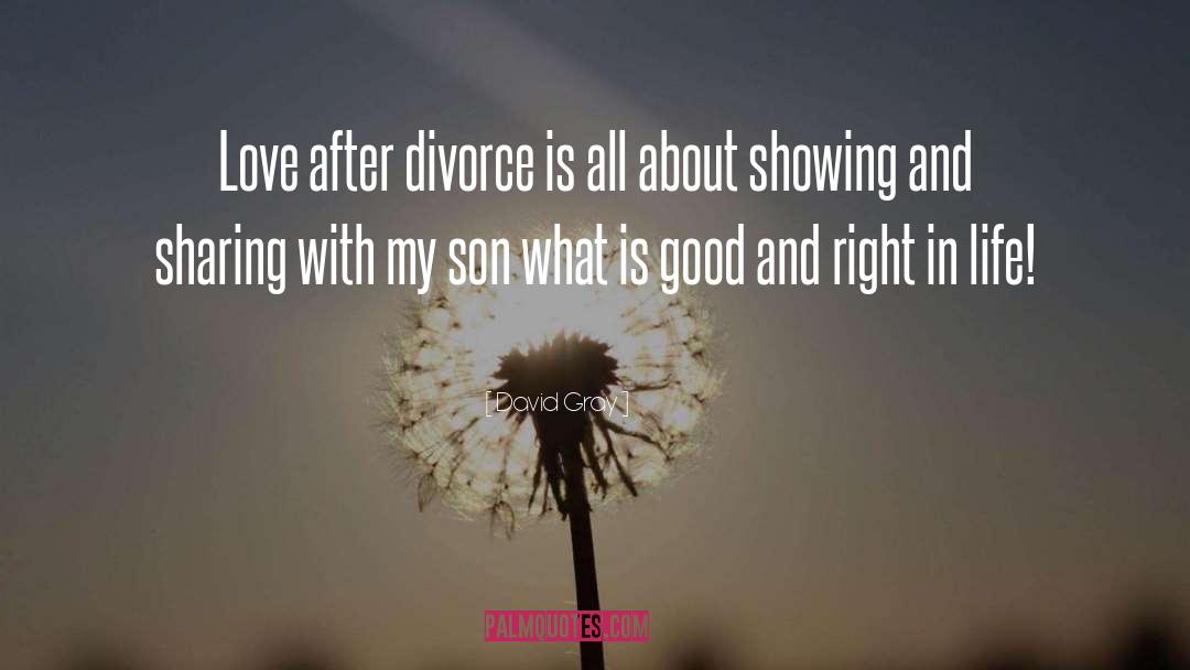 David Gray Quotes: Love after divorce is all