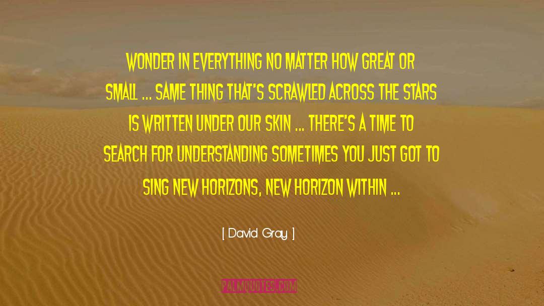 David Gray Quotes: Wonder in everything No matter