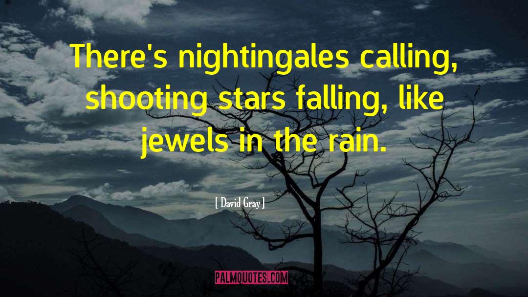 David Gray Quotes: There's nightingales calling, shooting stars