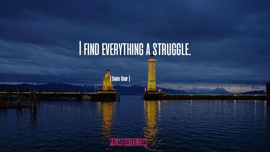 David Gray Quotes: I find everything a struggle.